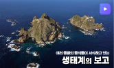 독도야 사랑해!